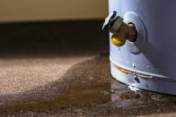 Best Local water damage restoration  in Lacy Lakeview, TX