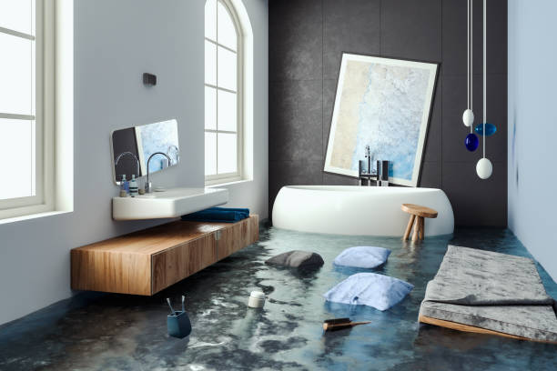 Best Mold removal after water damage  in Lacy Lakeview, TX