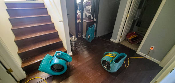 Best 24/7 water damage repair  in Lacy Lakeview, TX