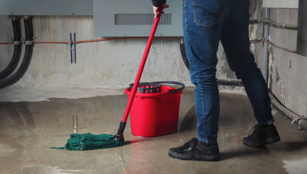 Best Flooded house restoration  in Lacy Lakeview, TX