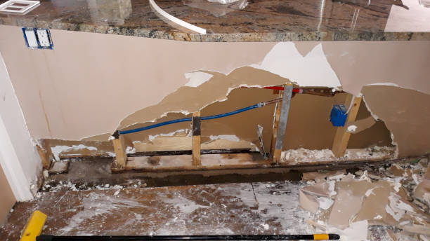 Best Water damage restoration mold remediation  in Lacy Lakeview, TX