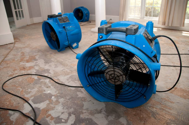 Best 24-hour water damage restoration  in Lacy Lakeview, TX