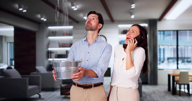 Best Mold removal after water damage  in Lacy Lakeview, TX